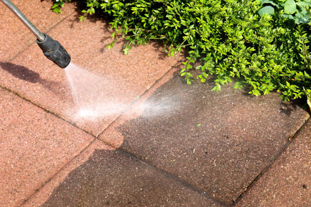 Best Roof Pressure Washing  in Hartford, IL
